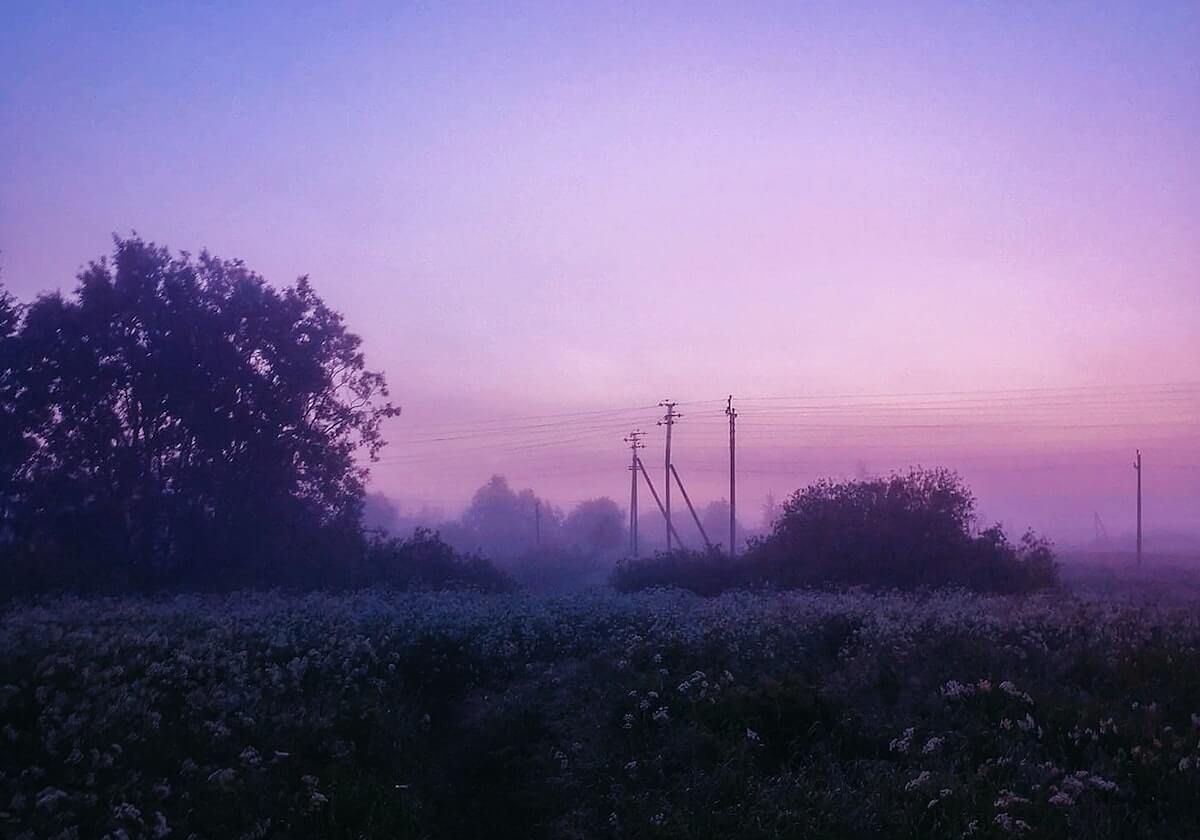 OD体育入口OD体育官网-巴恩斯25+14西亚卡姆18分 猛龙主场大胜步行者